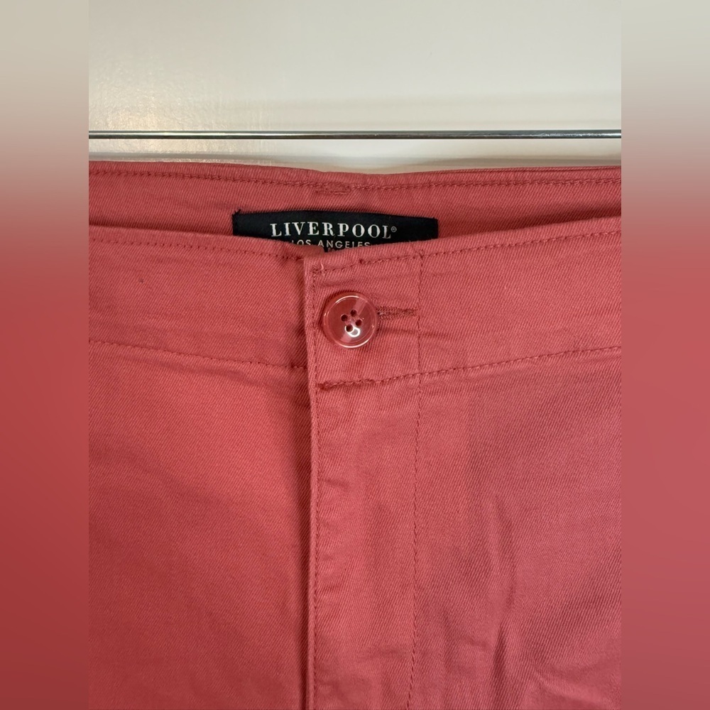 NWT Liverpool Women’s Dusty Cedar Cargo Pocket Shorts - Size 22W - Picture 4 of 11